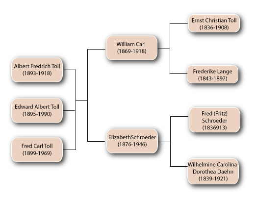 William Toll Family Tree